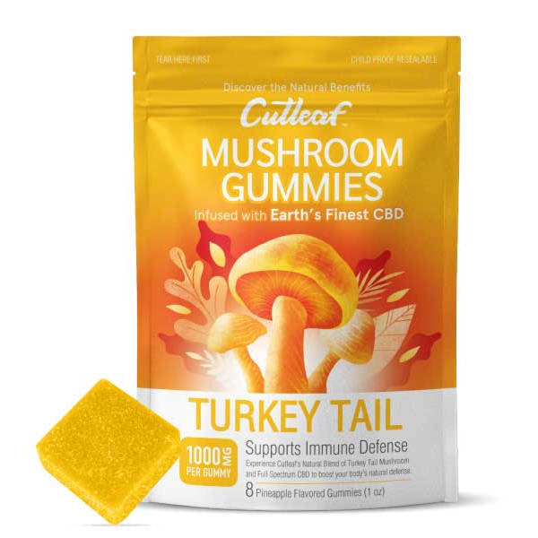 Turkey Tail 1000MG Mushroom Gummies